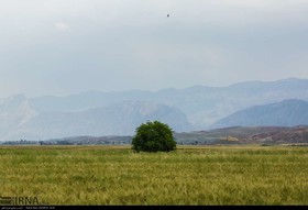 دره شهر