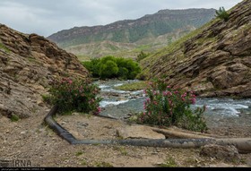 دره شهر