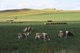 جمهوری خاكاسی در جنوب سیبری با سرزمین ها و رشته های كوهستانی بزرگ قرار دارد.
