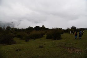 گزارش تصویری اختصاصی "ایران پژواک" از جنگل های زیبای مازندران