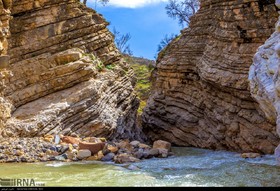 گزارش تصویری از منطقه «کول‌چپ» در لرستان