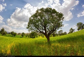 طبیعت منطقه لردگان