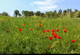 طبیعت منطقه لردگان