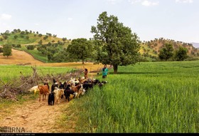 طبیعت منطقه لردگان