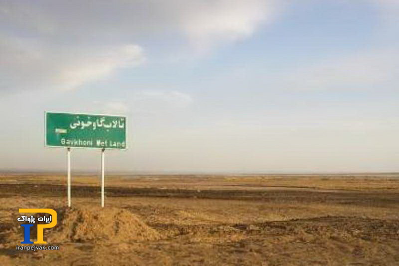 باتلاق گاوخونی