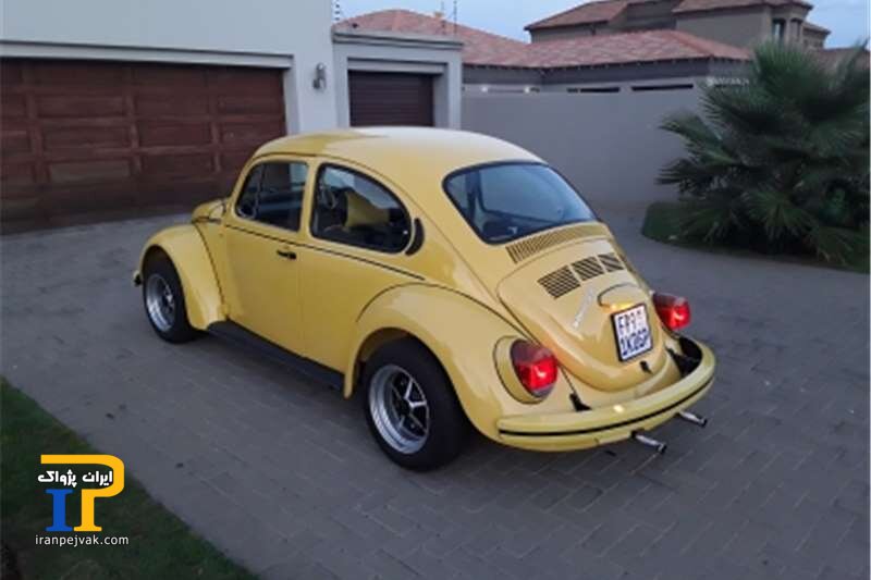 Beetle