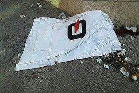 دبیر اول سفارت سوئیس در ایران، خودکشی کرده است؛ جسدم را بسوزانید