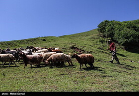 گزارش تصویری از آغاز کوچ عشایر