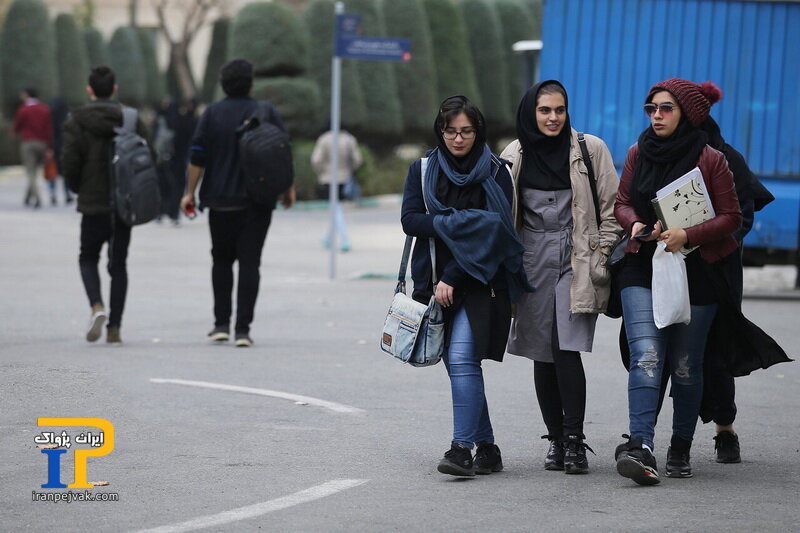 دانشجو 