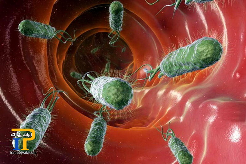 اسهال ویروسی