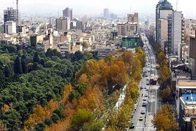 جریمه ۱۶۷ میلیارد تومانی برای خشک کردن درختان خیابان ولیعصر