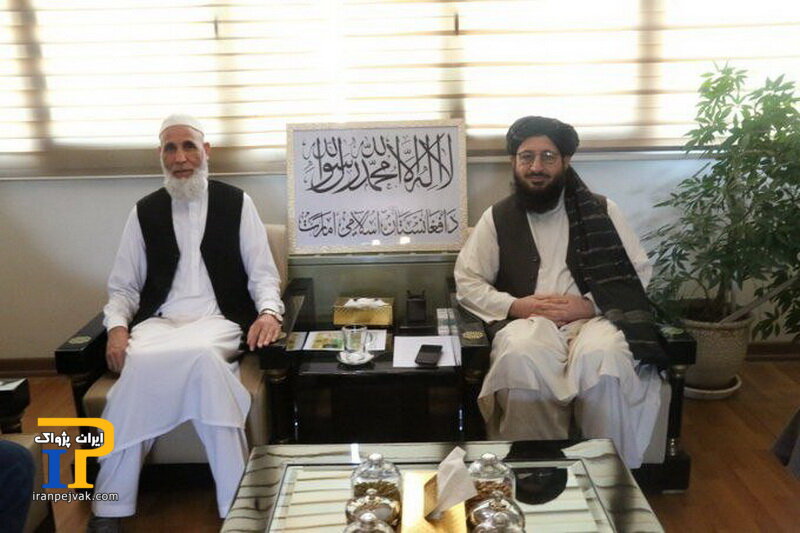 فضل محمد حقانی