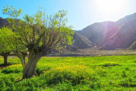 سفر یک روزه به یک روستای خنک و قشنگ در نزدیکی تهران