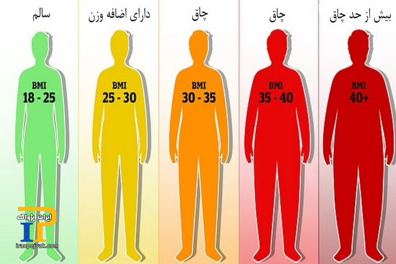 شاخص توده بدنی