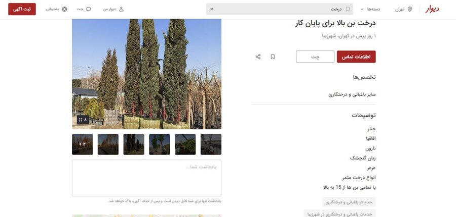 اجاره درخت؛ راه جدید برای پایان کار ساختوسازها