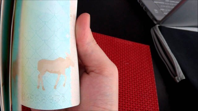 زیباترین پاسپورتهای جهان