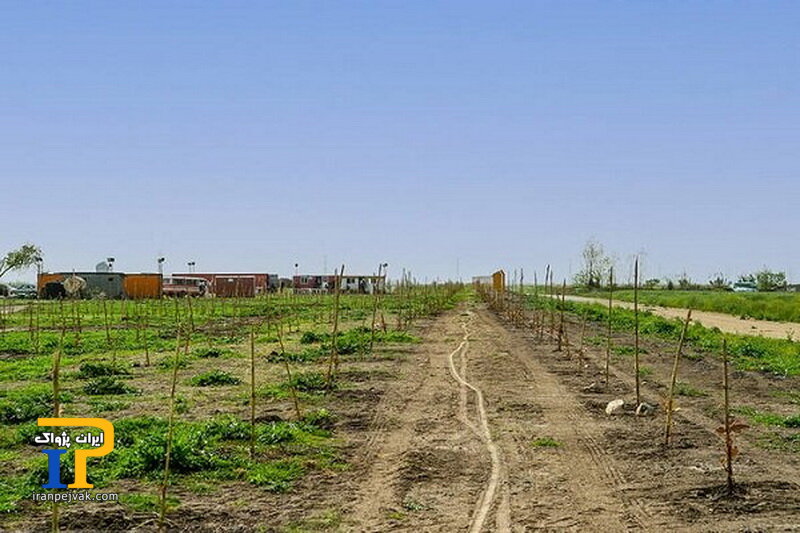 میانکاله
