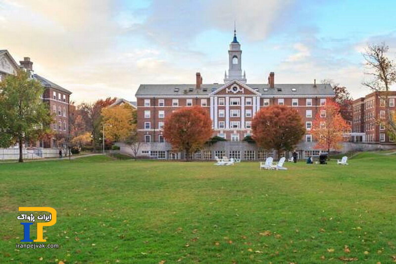 دانشگاه هاروارد