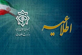 جزئیات ضربه به یکی از بزرگترین باندهای قاچاق سوخت کشور