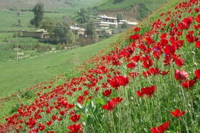 پنج مقصد جذاب برای مسافرت تابستانی
