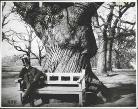 یک جنتلمن ویکتوریایی در دهه‌ی ۱۸۵۰ میلادی