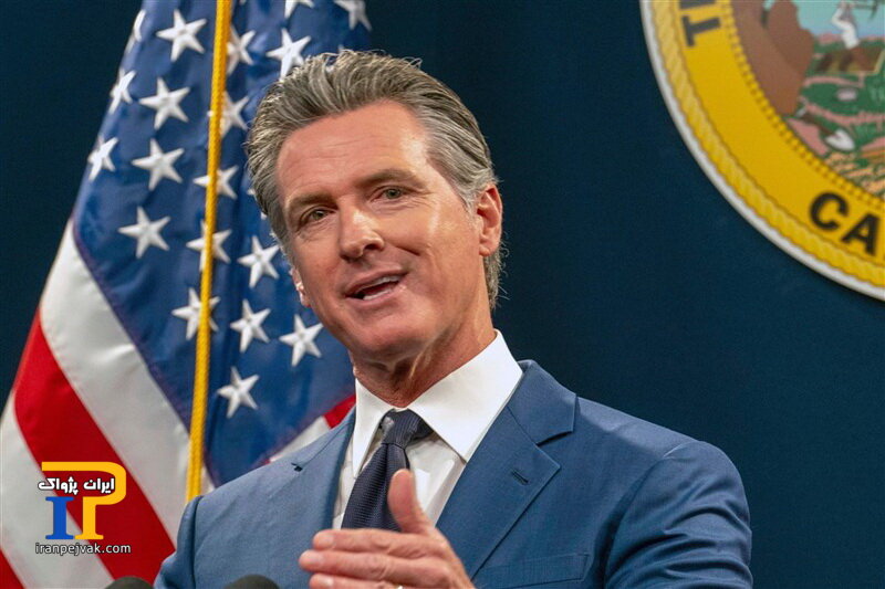 گوین نیوسام