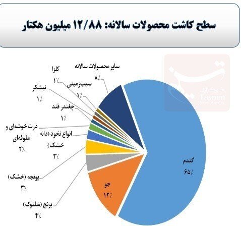 ۷۷ درصد اراضی کشاورزی کشور در تصرف دو محصول + نمودار