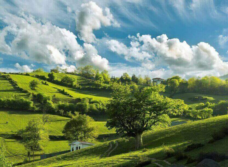 راهنمای کامل جاهای دیدنی چالوس؛ سفر به شهر زیبای شمال ایران