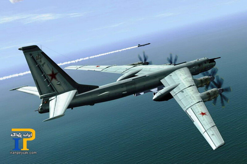 Tu-۹۵MS