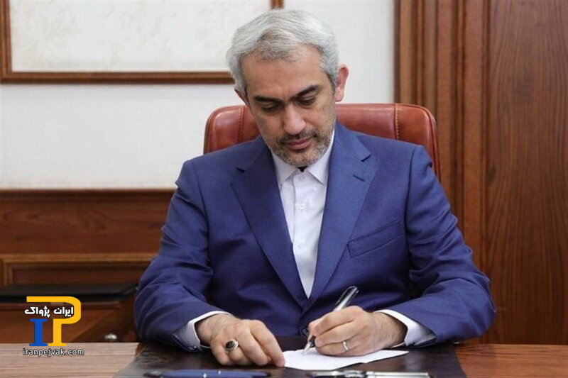 علی مدنی زاده