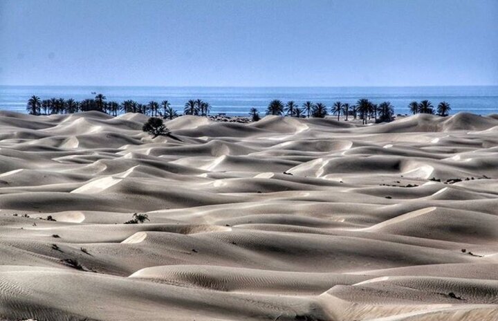 چهار نوع ساحل در روستای گردشگری درک