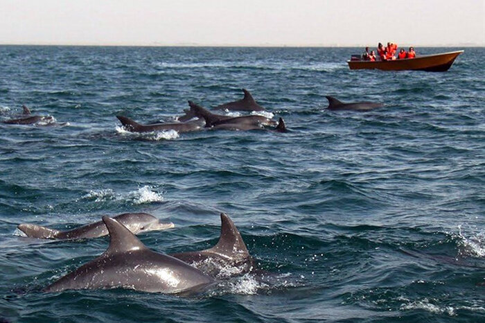 عروس بنادر ایران، چرا بندر لنگه را باید دید؟