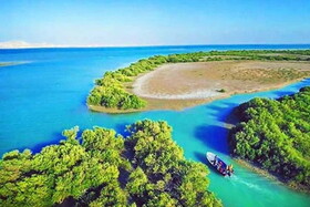 تجربه‌ای متفاوت از طبیعت در جزیره گذرای وارمی