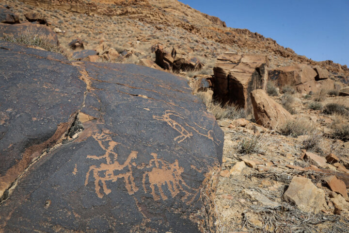 مجموعه هنر صخره ای چهار هزار ساله جربت