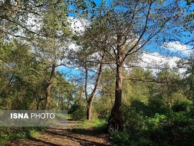 خمام در مسیر رشت به بندرانزلی تنها یک مسیر عبوری نیست