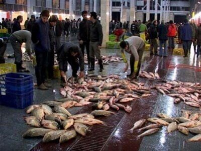 خمام در مسیر رشت به بندرانزلی تنها یک مسیر عبوری نیست