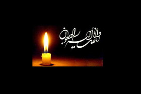 ترور دانشمند و استاد ایرانی توسط اسرائیل