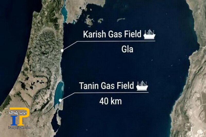تارین