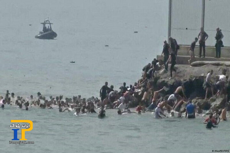 سئوتا