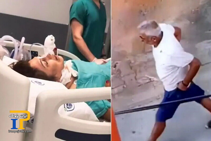 آیشه