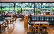 شیراز صدرنشین سرانه کافه در ایران؛ اصفهان و تهران در رده‌های بعدی